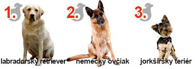 Najobľúbenejšie psie plemená