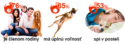 Je pes členom rodiny?